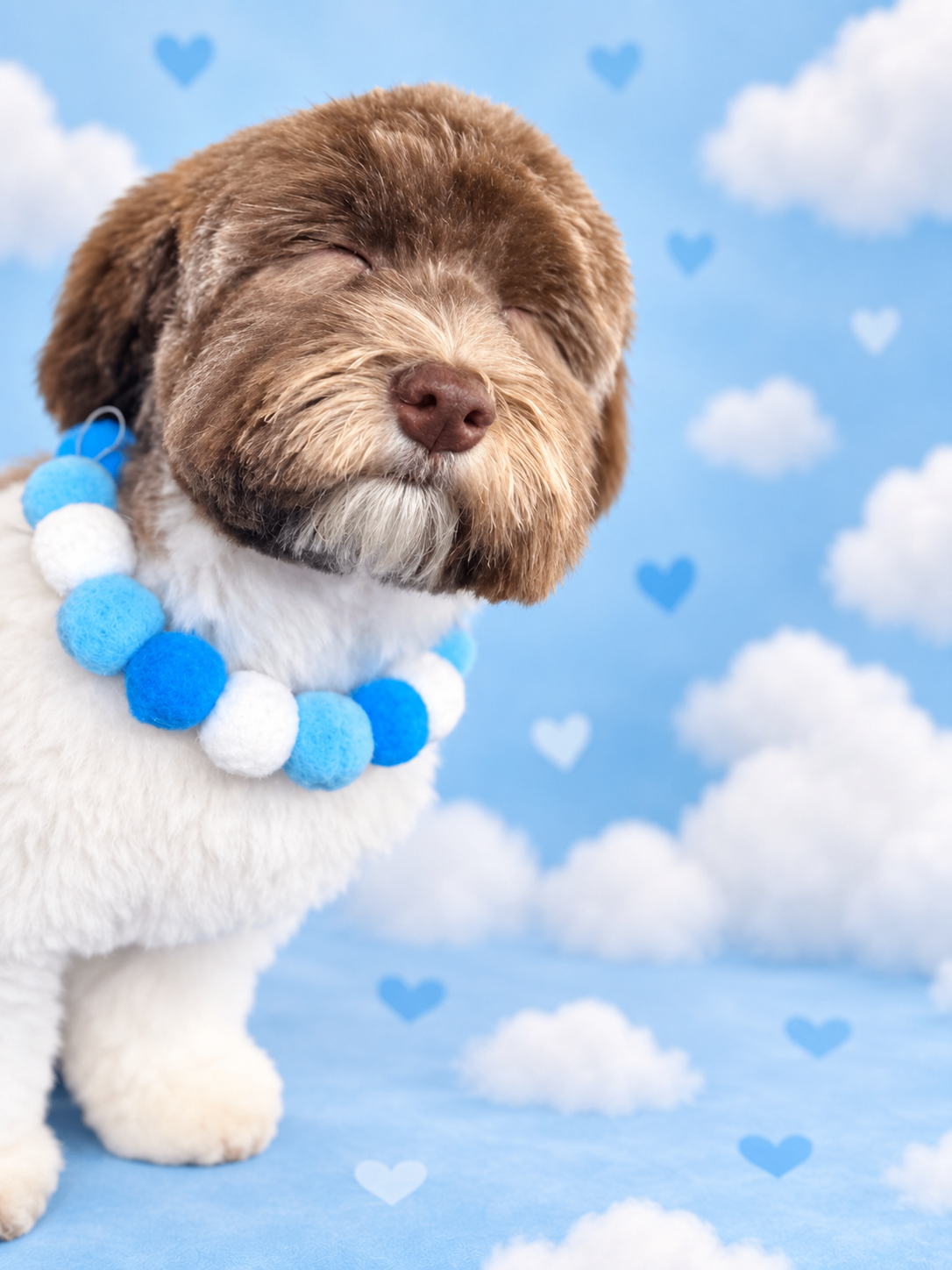 Fresh Pup — Full Service Groom